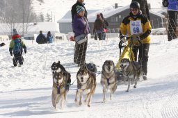 Lenk 2012 SM